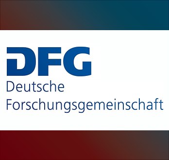 DFG Logo