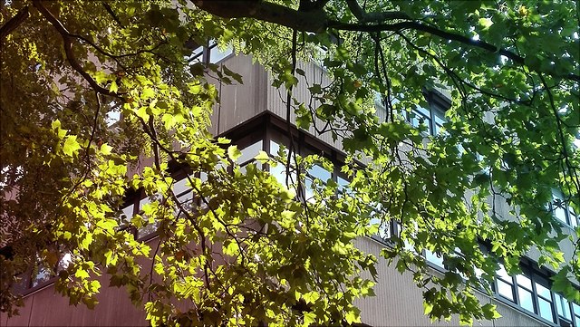 VMP5, Sitz des Arbeitsbereichs