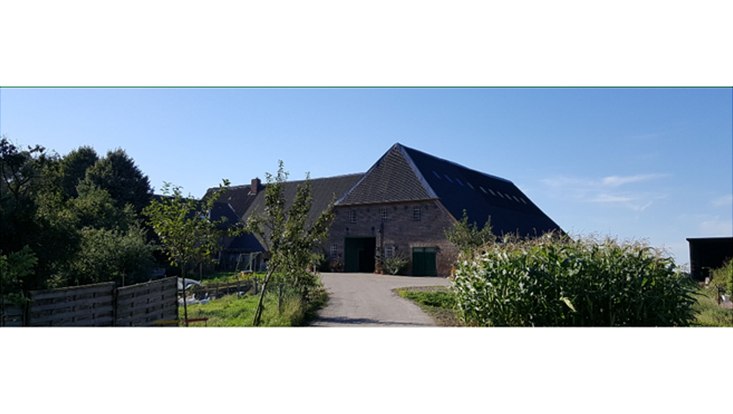 Bild eines Bauernhofs