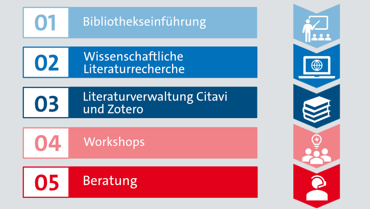 Struktur Schulungen/Training scope