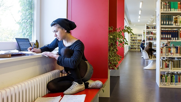 Einzelarbeitsplatz am Fenster, Blick in die Bibliothek/Individual workspace at the window, view into the library